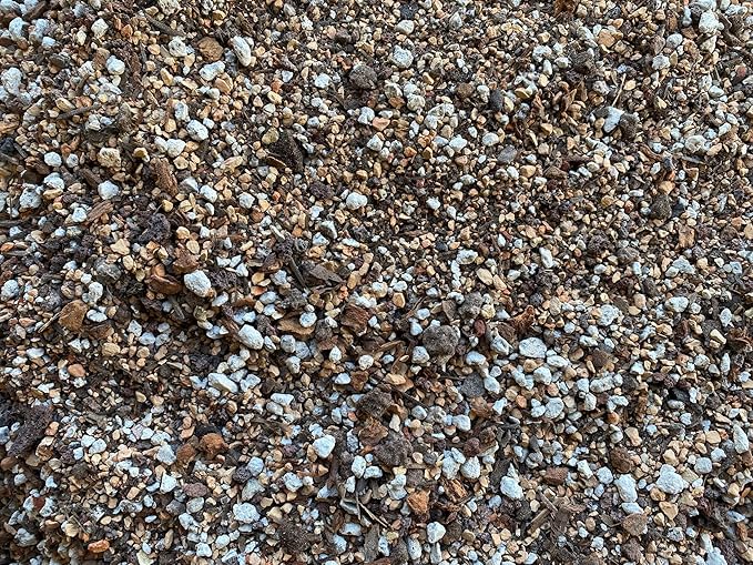 10 Cups Super Blend All Purpose Cactus &amp Succulents Soil Mixed with Coarse Sand Pumice Red Lava and Turface - Medium Grain (2.5Q Cactus M)