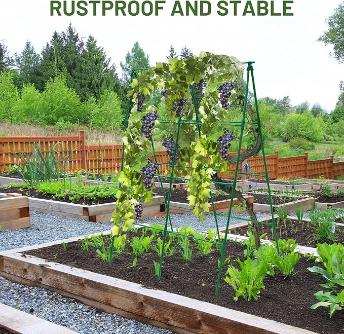 Large A-Frame Garden Trellis for Tomatoes Cucumbers &amp Heavy Climbing Plants - Rust-Resistant Heavy-Duty Steel Perfect for Outdoor Gardens &amp Vertical Gardening(47 W x 63 H)