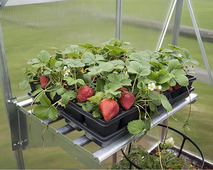 Palram - Canopia Heavy Duty Greenhouse Shelf Bundle (4 piece)