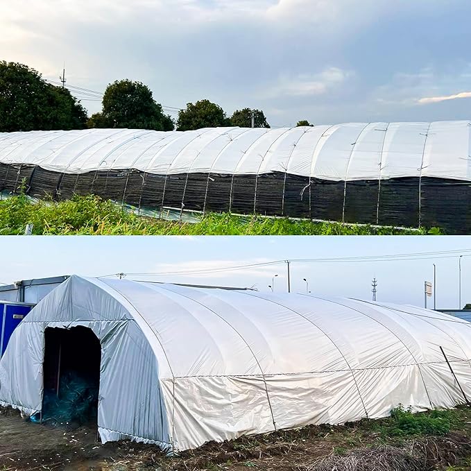 HFS(R White Greenhouse Plastic Film Polyethylene Film 6 mil Anti-UV for Gardening Agriculture 20X25FT
