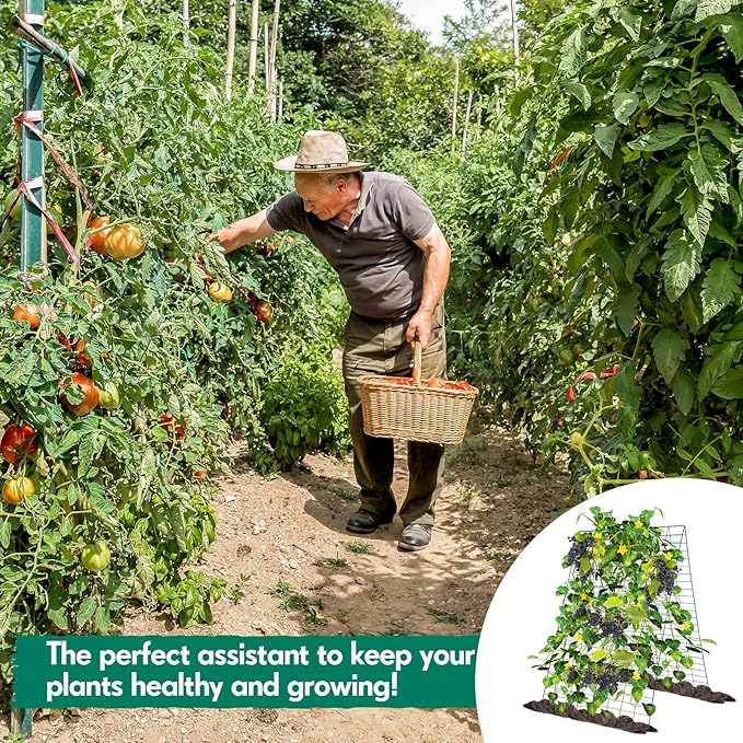 Wesiti 4 Packs Foldable Cucumber Trellis for Raised Bed 34W x 48H Adjustable a Frame Garden Trellis for Climbing Plants Outdoor Yard Metal Plant Support for Vegetables Tomato Pea Flower Vine Squash