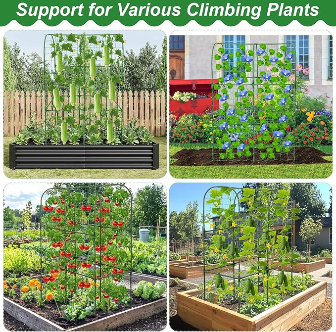 Cucumber Trellis for Raised Bed 50 x 34 Inch U-Shape Garden Trellis for Climbing Plants Outdoors Metal Garden Cucumbers Arch Trellis Cucumber Plant Support for Tomato Pea Zucchini Vine Flower