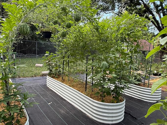 A ANLEOLIFE 12X3X1.5 ft Galvanized Raised Garden Beds Outdoor Oval Extra Large Metal Planter Box for Planting Vegetables Flowers Herb Anti-Rust &amp Easy-Setup Antique White