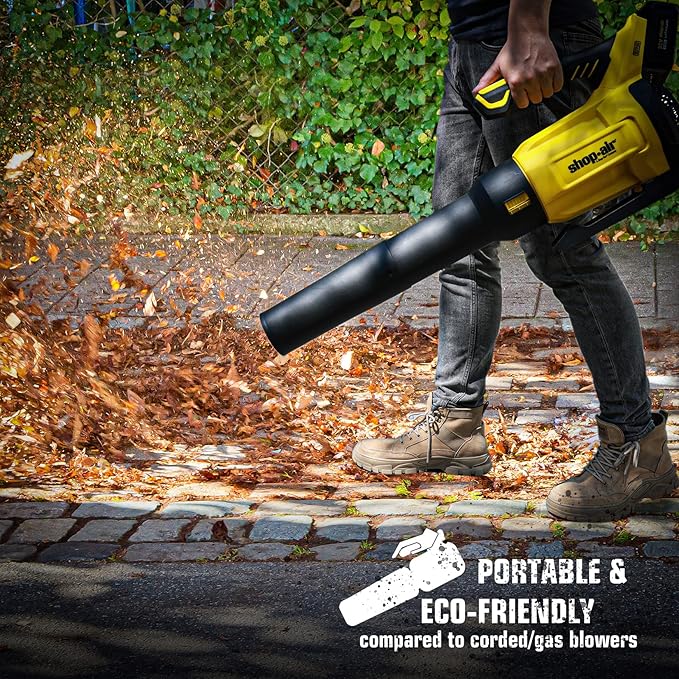 20V Cordless Leaf Blower 450CFM/110MPH Brushless Blower with Variable Speed Lightweight for Lawn Care Snow Blowing Yard Cleaning 4.0Ah Battery (Quick Charger Included)