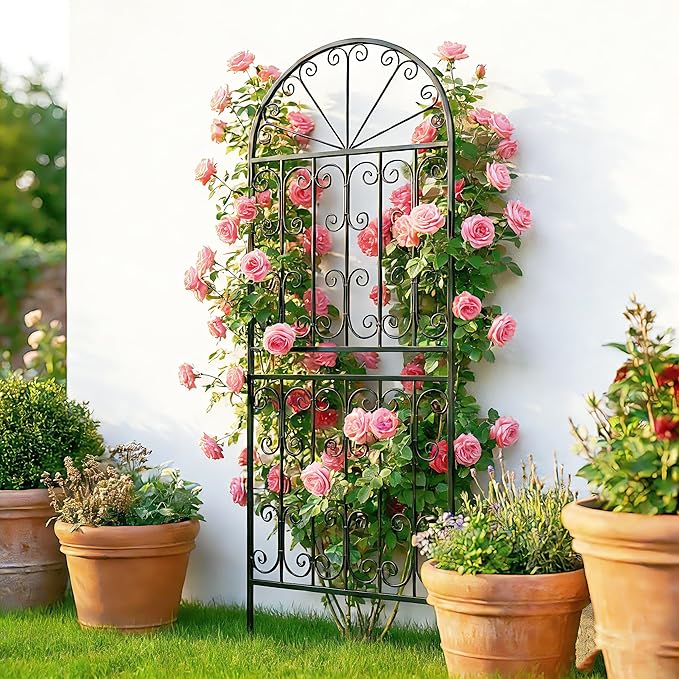 SCENDOR 70.8 H x 24.5 W Decorative Metal Garden Trellis - Rustproof Black Iron Arched Fence for Climbing Roses Clematis and Vines - Sturdy Plant Support for Patio Lawn and Backyard 1 Pack