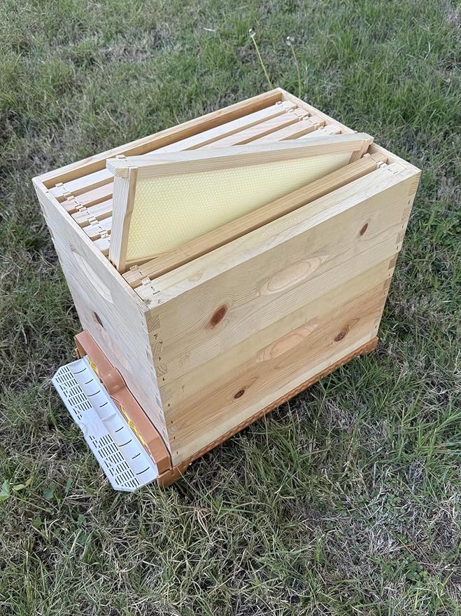 [New] Apimaye 8 Frame Screen Bottom Board with Bottom Tray &amp Pollen Trap