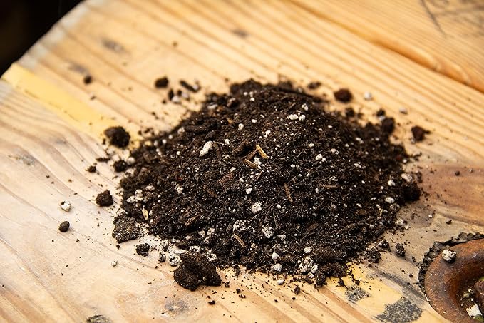 New Country Organics | Living Soil | Premium Growing Medium | 1 Cubic Foot Bag