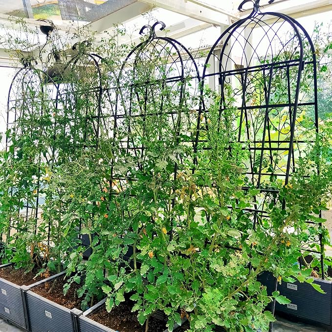 8 Pack Metal Garden Trellis 71 H Garden Fence Rustproof Trellis for Climbing Plants Support Roses Flower Outdoor Lawn Black