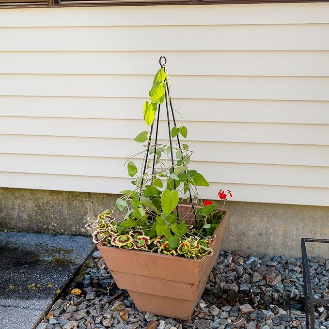 Container Trellis Pack of 2