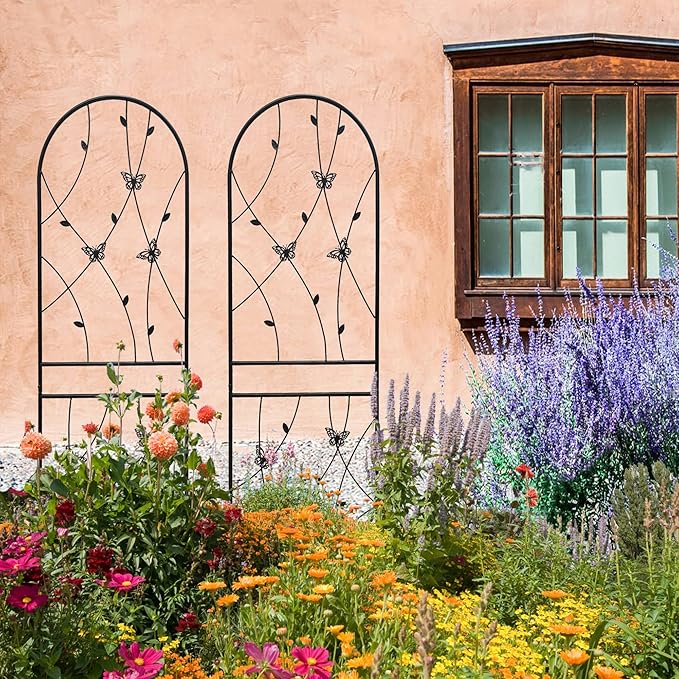 2 Pack Metal Garden Trellis 71 x 19.7 Rustproof Trellis for Climbing Plants Outdoor Flower SupportButterfly Decor for PatioBackyard Black (Black 19.7''W x 71''L)