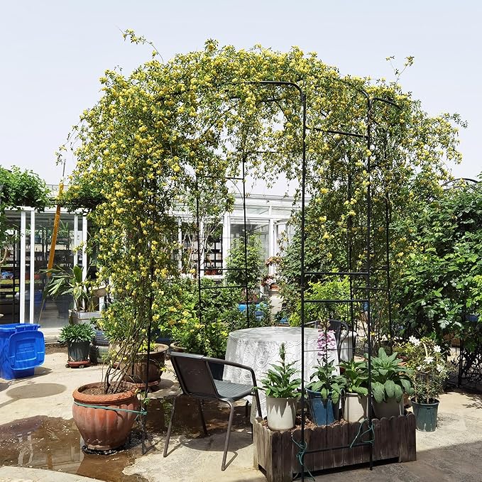 Garden Trellis Metal Garden Arch Iron Garden Arbors Gazebo Dia81.3'' x 114.2'' High Birdcage Shape Pergola Pavilion Outdoor Trellis for Wedding Ceremony Outdoor