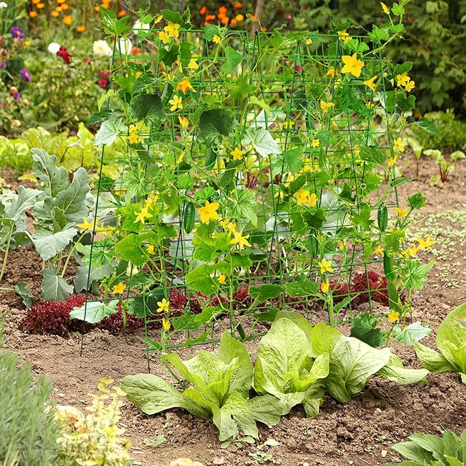 Pack 2 Heavy Metal Garden Trellis for Climbing Plants with Trellis Netting &amp Garden Clips A-Frame Cucumber Trellis for Raised Bed