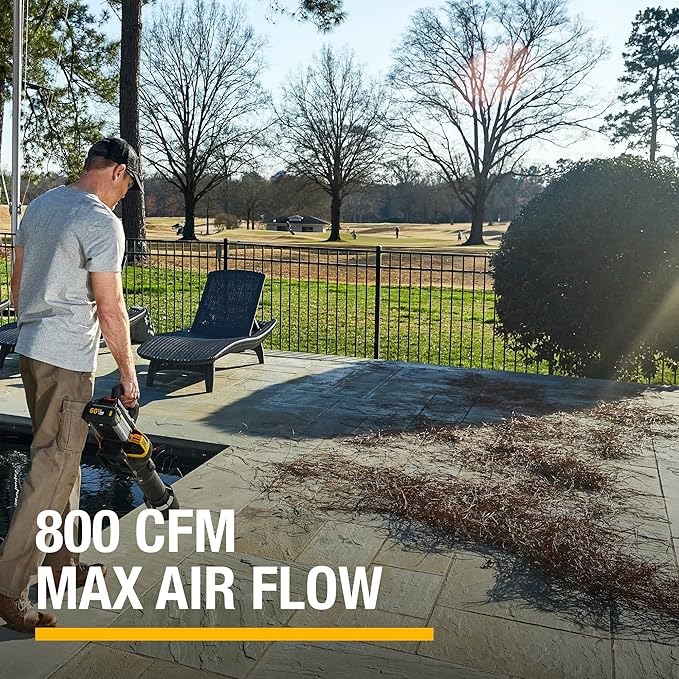 Cat DG651 60V 800 CFM 170 MPH High-Powered Leaf Blower Cordless Adjustable Speed Blowers for Lawn Care Lightweight Cordless Leaf Blower with Variable Air Control – Battery &amp Charger Included
