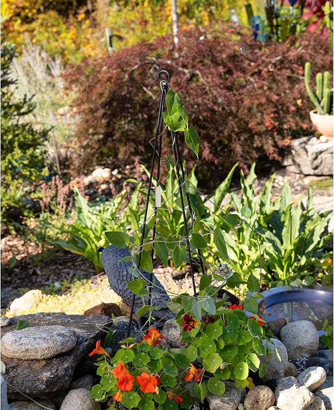 Container Trellis Pack of 2