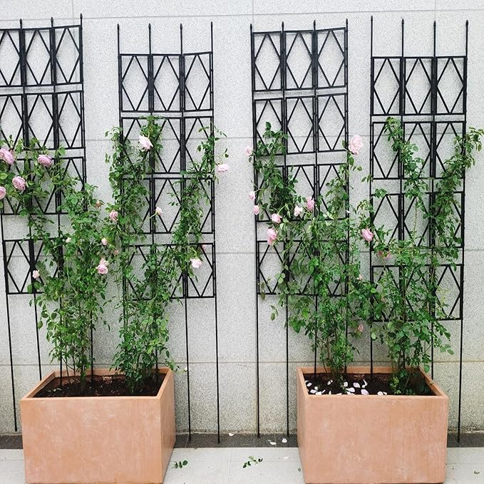 LTSRLL Foldable Garden Trellis Plant Supports - Weatherproof Coated Pot Trellis - Indoor Outdoor Decoration Fence for Climbing Vegetable Flower Fruits Vine Frame(Black60x150cm/23.6x59in)