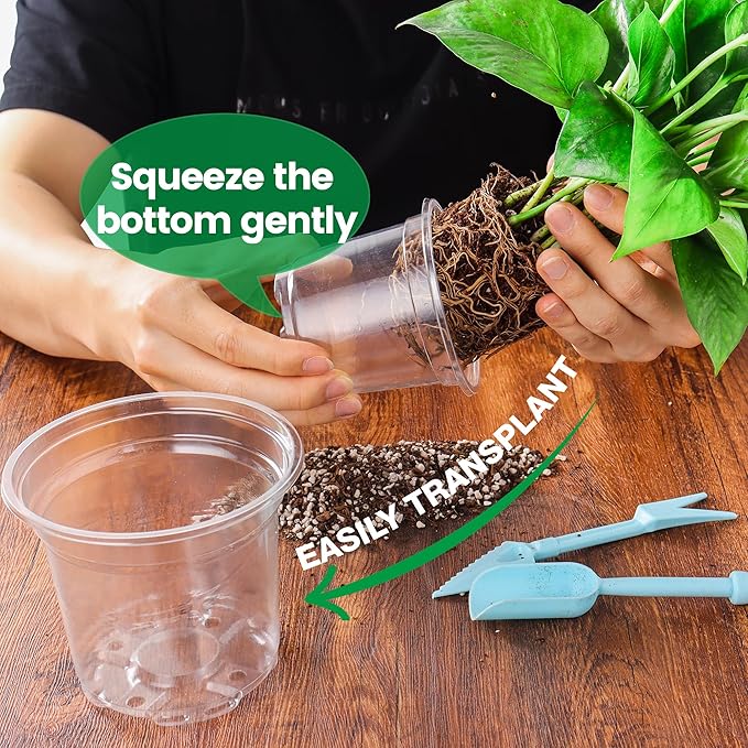 16 Pack 10/8/6/5 Inch Reinforced Large Clear Nursery Pots with Drainage Holes Transparent Variety Pack Plastic Plant Pot for Vegetable Propagation Root Cutting Seed Starting
