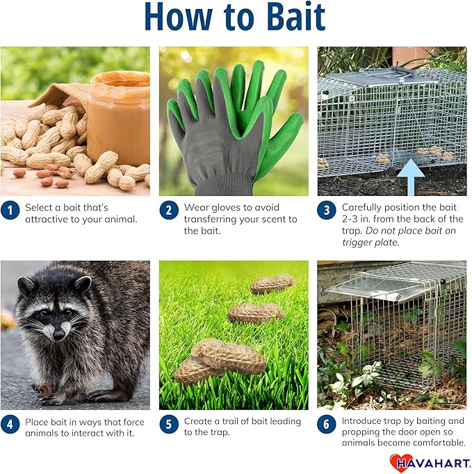 Havahart Medium 1-Door Humane Catch and Release Animal Trap for Rabbit Skunk Mink and Squirrel - Professional Style Live Catch Trap - 1078SR - Humane Capture and Release