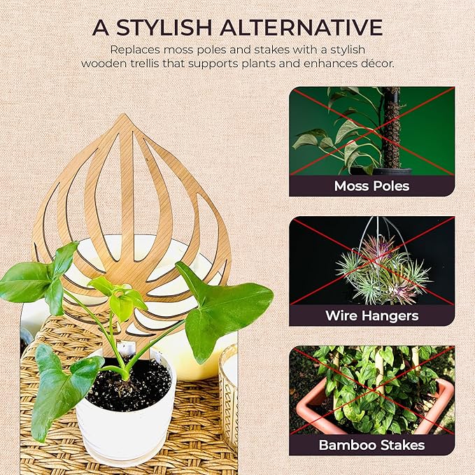 Treleaf Peptrella Watermelon Peperomia Inspired Wooden Trellis – Petite Size 9 Indoor Plant Support for Hoyas and Climbing Plants – Decorative Houseplant Trellis and Wooden Plant Stake