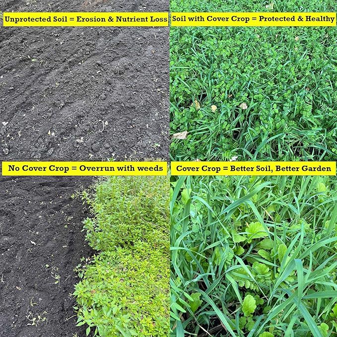 Peas Oats Vetch Garden Cover Crop Mix Seeds for Planting - 5 lb Jug - Improves Soil Health Weed Suppression Nitrogen Fixation Increases Biomass