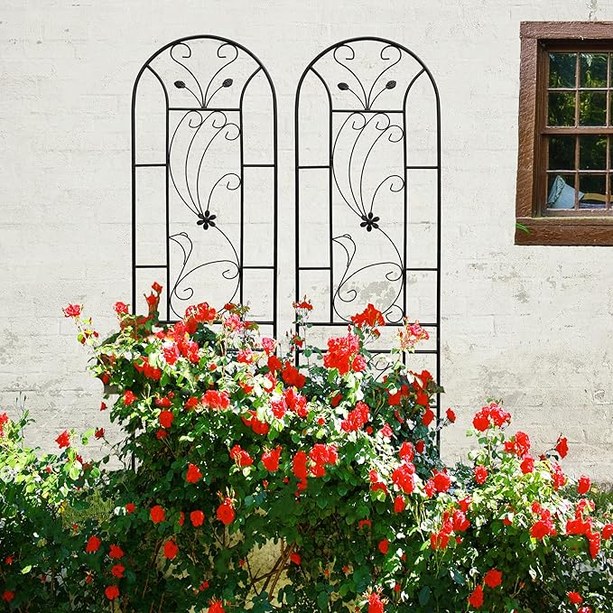 2 Pack Metal Garden Trellis 86.7x 19.7 Peacock Style Rustproof Plant Support for Climbing Plants Outdoor Heavy Duty Powder Coated Trellis for Vine Rose Clematis Cucumber Vegetable Flower (2)
