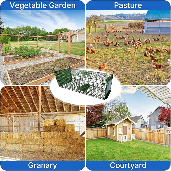 ARIFARO Animal Cage Trap (40 L x 11.6 W x 12 H) Humane Live Cage Trap Double-Door Metal Capture Cage for SkunksRaccoonsRabbitsStray CatsSquirrelsMolesGophers