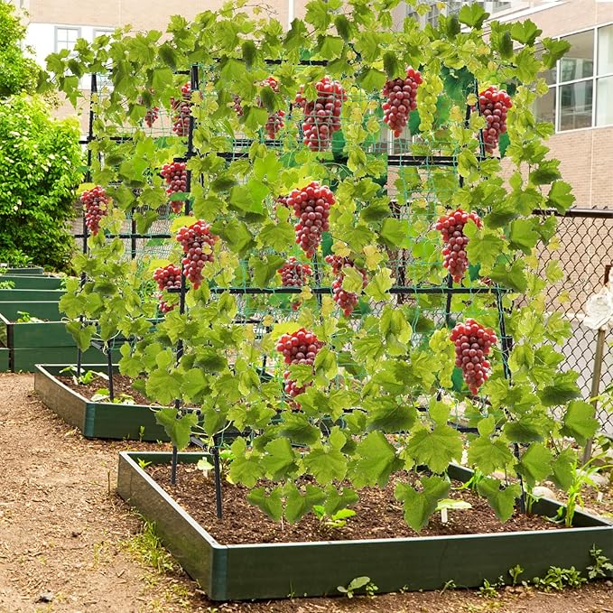 Giantex Cucumber Trellis Trellis for Climbing Plants Outdoor Garden Trellis w/Netting PE-Coated Metal Clips Plant Support for Flower Vine Grape Vegetable Fruit 41x51x59
