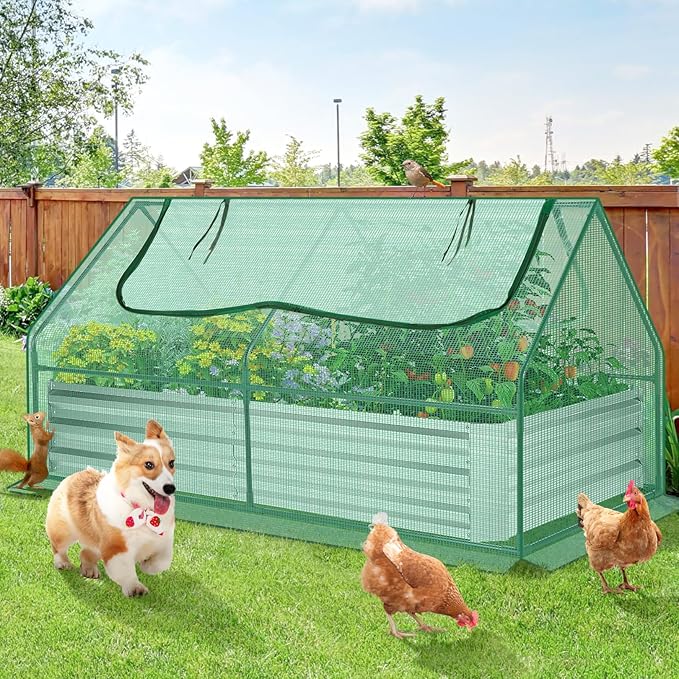 Suyncll 6x3x1FT Galvanized Raised Garden Bed with Cover Metal Planter Box Kit w/ 2 Roll-Up Large Zipper Windows Mini Greenhouse for Outdoor Growing Vegetables with 1 Pair of Gloves