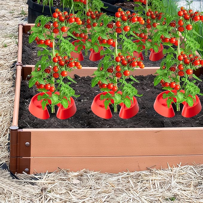 Adnee 6 Pcs Tomato Watering Trays Heavy Duty Tomato Automator Tray Surrounding Tomatoes Ring Tray for Plant Vegetables Water Conservation and Weed Control