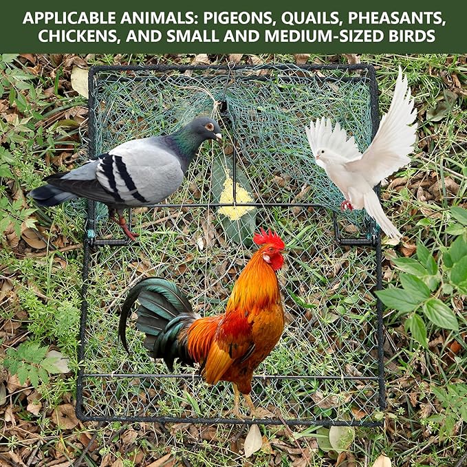 Humane Pigeon TrapBird Trap for QuailTurkeyNet Traps (19.7x23.6 inch)