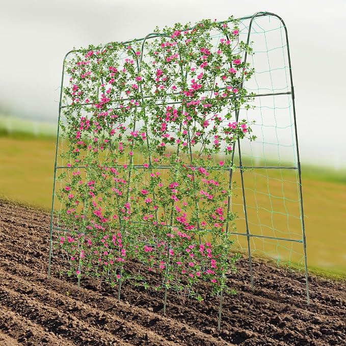 5.25ft Tall Garden Arch Trellis for Climbing Plants Metal Plant Support Archway for Vegetables Fruits &amp Flowers | Outdoor Arbor Tunnel Trellis for Yard and Garden