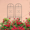2 Pack Large Garden Trellis Heavy Duty Rustproof Iron Plant Trellis for Potted Plant Support Metal Climbing Rose Trellis Vine Vegetable Cucumber Black -86 H x 19.7 W