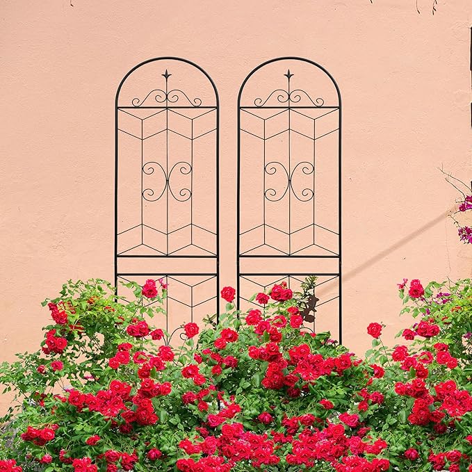 2 Pack Large Garden Trellis Heavy Duty Rustproof Iron Plant Trellis for Potted Plant Support Metal Climbing Rose Trellis Vine Vegetable Cucumber Black -86 H x 19.7 W