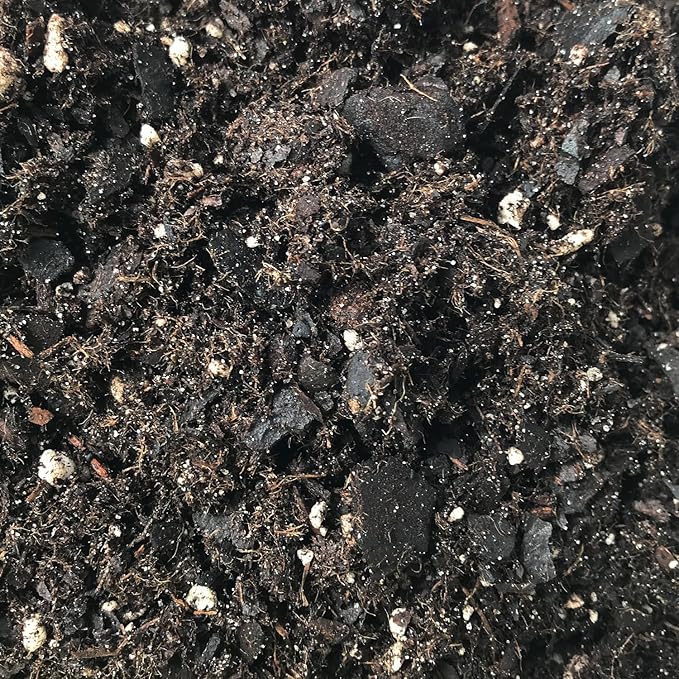 Monstera Growing Soil Mix – 2 Quarts - Custom Soil Blend – Potting Mix for Monstera Plants – Specially Developed by and for Professional Nursery Growers - Nutrient-Rich Formula