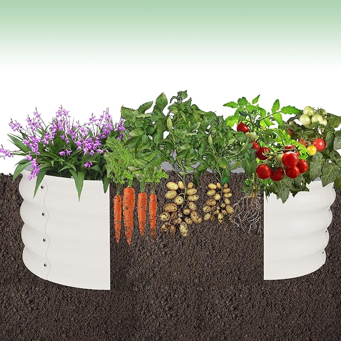 GarveeLife 2-Pack Galvanized Raised Garden Bed – Rust-Resistant Petal-Shaped Outdoor Planter Box with Open Base for Herbs Veggies &amp Flowers Ground-Connected Design for Deep Root GrowthBeige