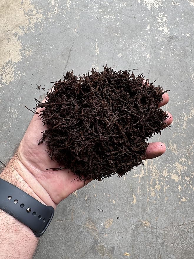 Premium Gritty New Zealand Tree Fern Fiber Growing Medium and Reptile Substrate- Natural Organic Long Lasting | for Orchids and Tropicals | Use in Terrariums and Vivariums (1 Gallon)