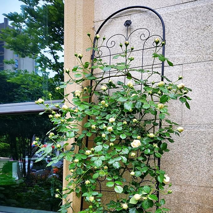 2 Pack Metal Garden Trellis for Climbing Plants Outdoor Wire Lattice Grid Panel for Climbing Plants Support Rose Trellis Netting Trellis Black