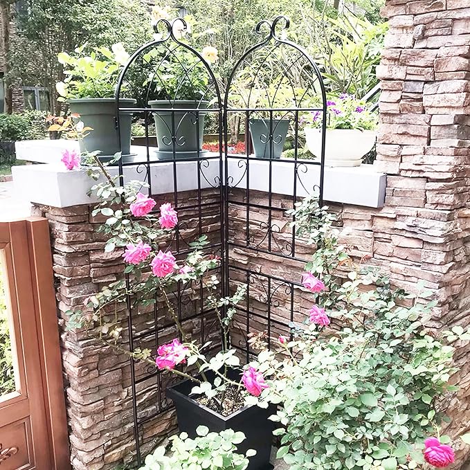 4 Pack Metal Garden Trellis 71x19.7 - Rustproof Climbing Plants Outdoor Flower Support - Easy Assemble Black Iron Trellises - Versatile Plant Support for Roses Black