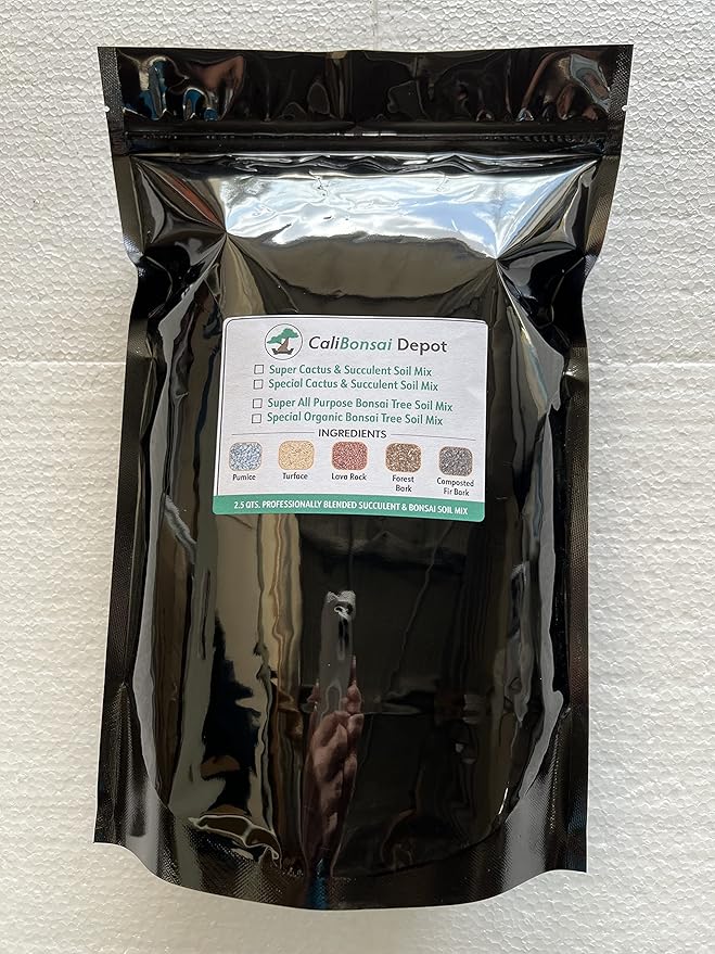 10 Cups Super Blend All Purpose Cactus &amp Succulents Soil Mixed with Coarse Sand Pumice Red Lava and Turface - Medium Grain (2.5Q Cactus M)