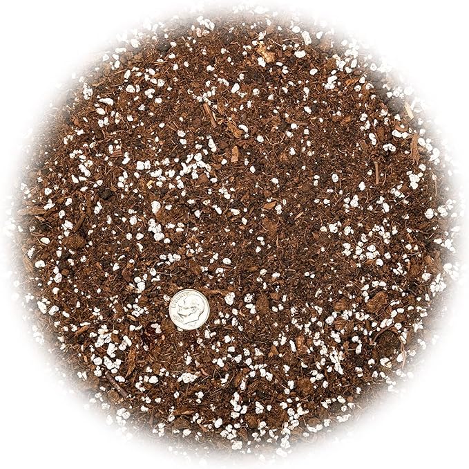 Gardenera Premium House Plant and Tropical Plant Potting Soil - Hand-Mixed Blend for Re-Potting All Indoor Plants - 3 Quart
