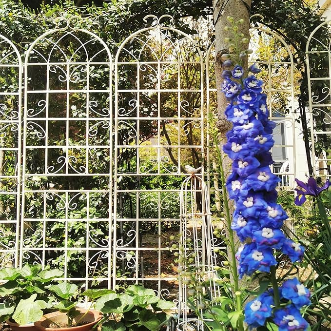 Dawn 4 Pack Metal Garden Trellis 86.7 x 19.7 Rustproof Trellis for Climbing Plants Outdoor Flower Support Cream White