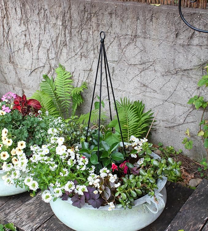 Container Trellis Pack of 2