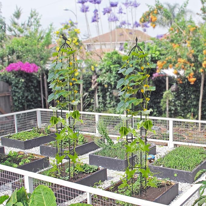 Happygrill Garden Trellis for Climbing Plants 78” Tall Metal Obelisk Trellis w/Adjustable Height Gloves Cable Ties 2 in 1 Plant Cages &amp Supports for Flowers Vegetables Vines Indoor Outdoor