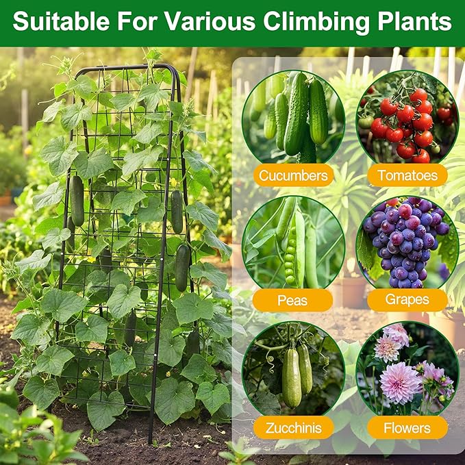 WAENLIR 63x17inch Cucumber Trellis Tomato cage with Dense Steel Grid–A-Frame Heavy Duty Metal Trellis for Raised Beds Cattle Panels for Garden Trellis for Climbing Plants Outdoor (Black 63x17inch)