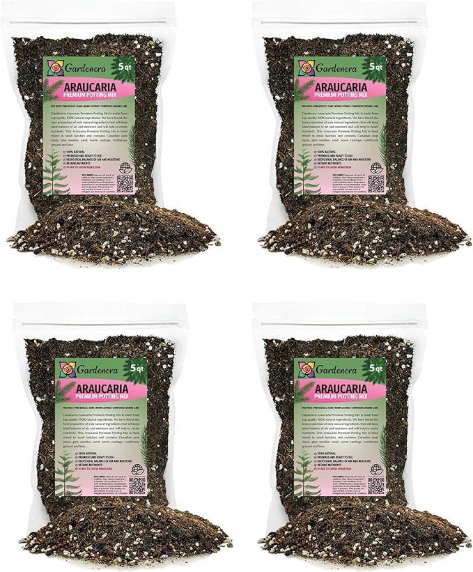 GARDENERA Premium Araucaria Potting Soil Mix - Perfect Balance of Nutrients Drainage and Aeration for Healthy Araucaria Trees - 20 Quart