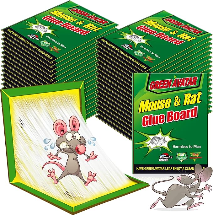 Ezoon 36 Pack Large Mouse Glue Traps with Enhanced Stickiness Sticky Rat Traps Sticky Snake Trap Mouse Traps Sticky Pad Board for House Indoor Outdoor Easy to Set Extra Large (8.3 x 12)