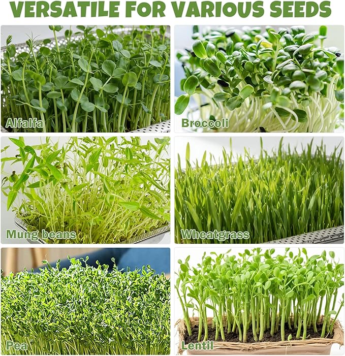 2 Pack Stainless Steel Seed Sprouter Trays 2-Tier Soil-Free Microgreens Growing Kit Sprouting Tray with Cover Lids &amp Mesh Pads for Sprouts Beans Alfalfa Wheatgrass