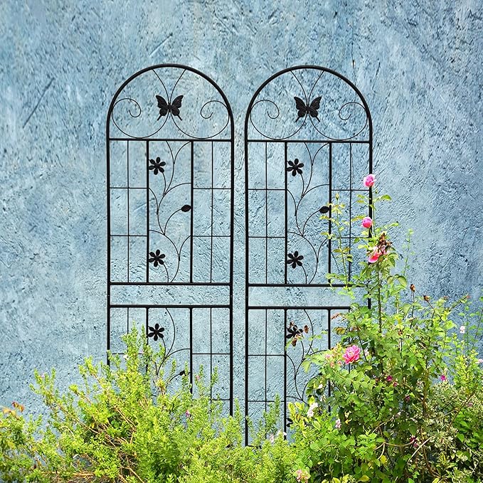 2 Pack Metal GTr71 x 19.7 Rustproof for Climbing Plants Outdoor Flower Support Black KT217