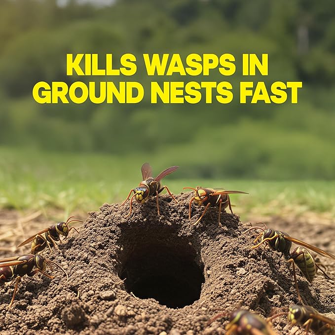Raid Outdoor Wasp Ground Nest Killer Dust Insecticide for Outside Household Use on Wasps Fast-Working Easy-to-Use and Odorless 24 oz