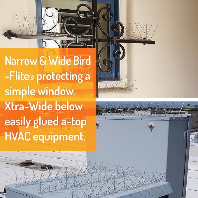 Bird Barrier Bird-Flite Stainless Steel Bird Spikes | Metal Pins Strips with Plastic Base Clear Glue Adhesive Included - Narrow (2.5in) 10 Ft. Length