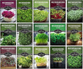 Microgreens Seeds Variety Pack – 15 Heirloom Varieties for Indoor Sprouting &amp Countertop Growing – Broccoli Radish Kale Arugula &amp More – High Germination Non-GMO – Survival Garden Seeds